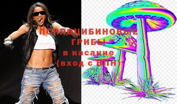 дмт Лагань