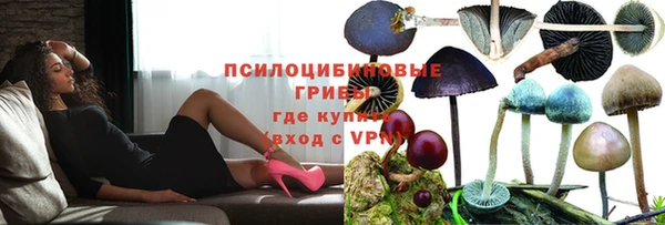 прущая мука Лабытнанги