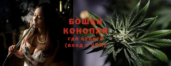 прущие крисы Кулебаки