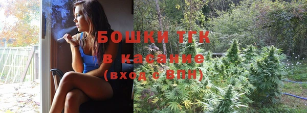 дмт Лагань