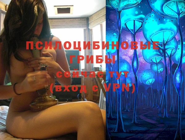 мяу мяу мука Кукмор