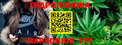 амф Волжский