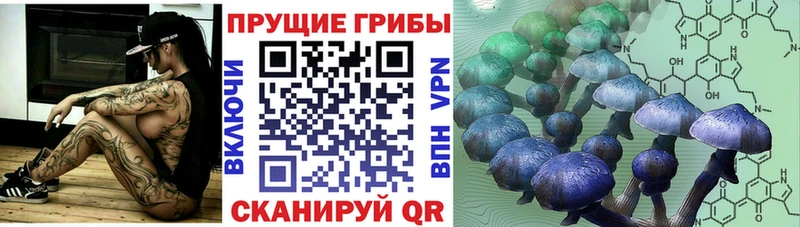 где купить наркоту  Иваново  Псилоцибиновые грибы GOLDEN TEACHER 